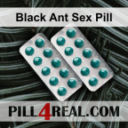 Black Ant Sex Pill 264