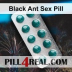 Black Ant Sex Pill 459
