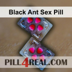 Black Ant Sex Pill 500