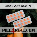 Black Ant Sex Pill 666