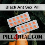 Black Ant Sex Pill 666
