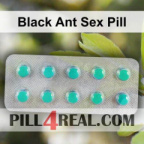 Black Ant Sex Pill 707