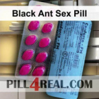Black Ant Sex Pill 722