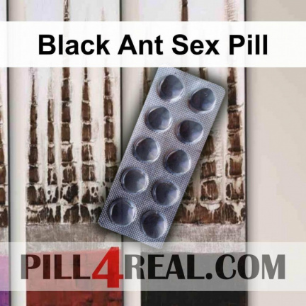 Black Ant Sex Pill 819