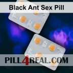Black Ant Sex Pill 950
