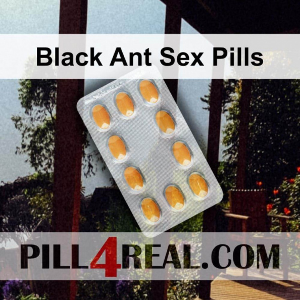 Black Ant Sex Pills 004