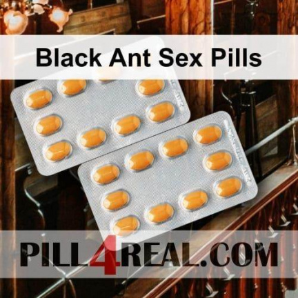 Black Ant Sex Pills 138