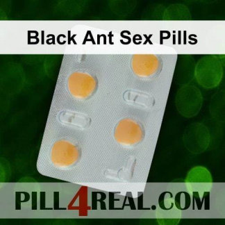 Black Ant Sex Pills 257