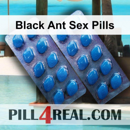 Black Ant Sex Pills 314