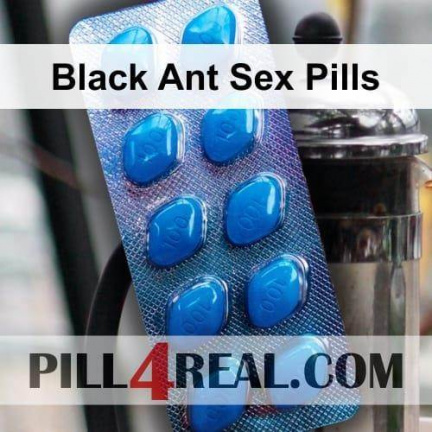 Black Ant Sex Pills 426