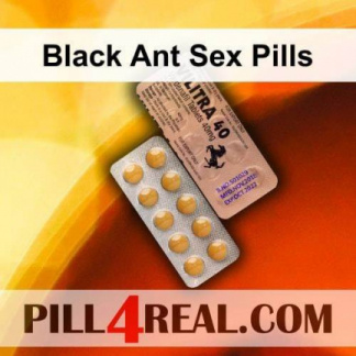 Black Ant Sex Pills 481