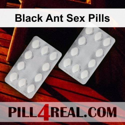 Black Ant Sex Pills 510
