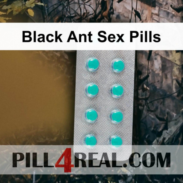 Black Ant Sex Pills 543