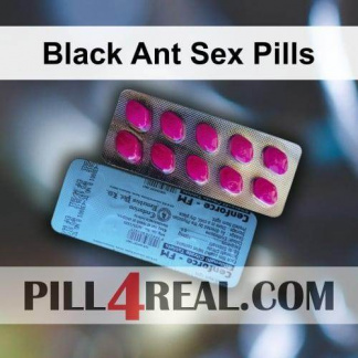 Black Ant Sex Pills 576