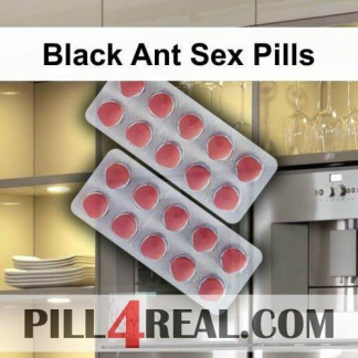 Black Ant Sex Pills 589