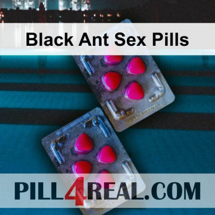 Black Ant Sex Pills 735