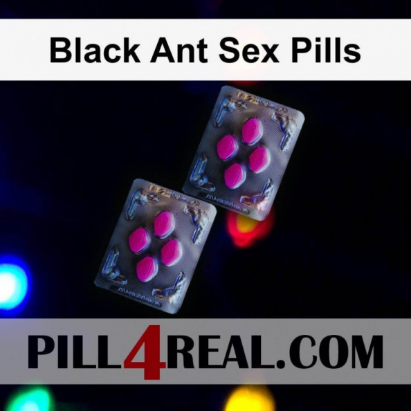 Black Ant Sex Pills 787