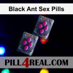 Black Ant Sex Pills 787