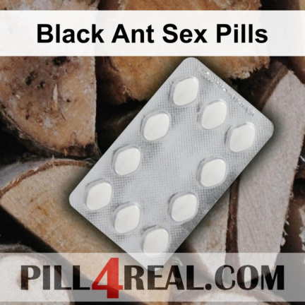 Black Ant Sex Pills 802