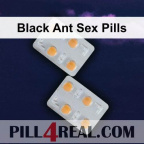 Black Ant Sex Pills 893