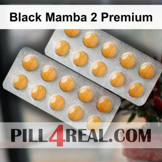 Black Mamba 2 Premium 302