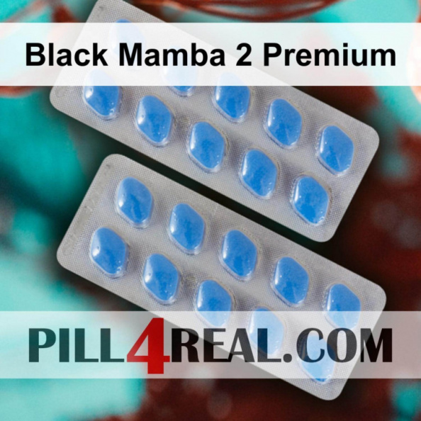 Black Mamba 2 Premium 427