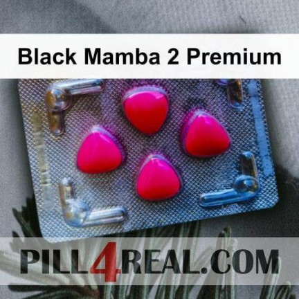 Black Mamba 2 Premium 534
