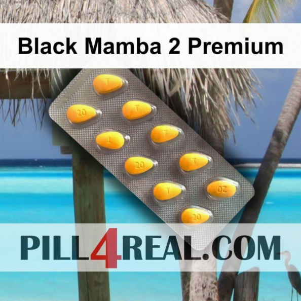 Black Mamba 2 Premium 672