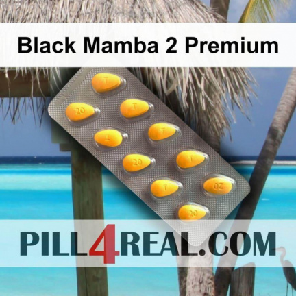 Black Mamba 2 Premium 672