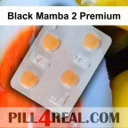Black Mamba 2 Premium 734