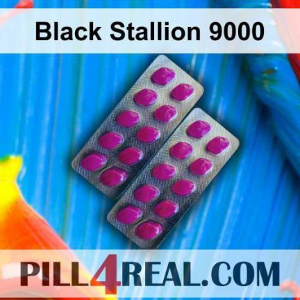 Black Stallion 9000 049