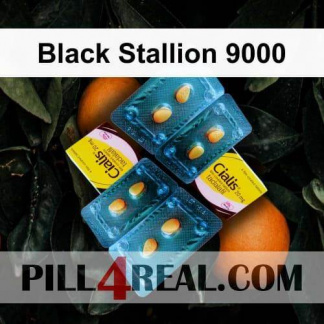 Black Stallion 9000 381