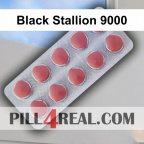 Black Stallion 9000 523