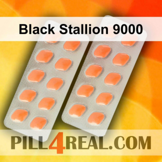 Black Stallion 9000 631