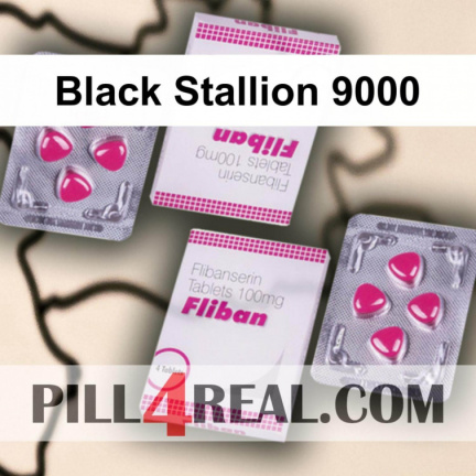 Black Stallion 9000 640