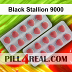 Black Stallion 9000 649