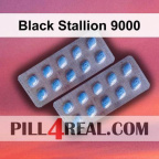 Black Stallion 9000 689