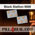 Black Stallion 9000 708