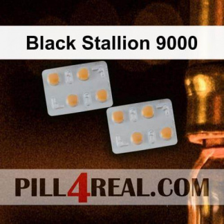 Black Stallion 9000 708