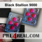 Black Stallion 9000 732