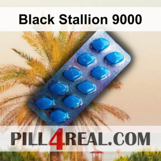 Black Stallion 9000 739