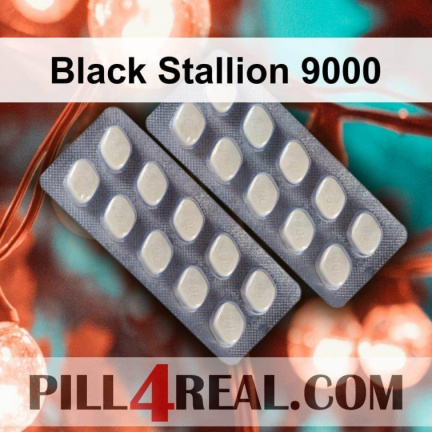 Black Stallion 9000 813