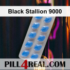 Black Stallion 9000 854