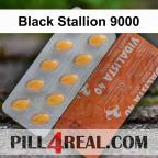 Black Stallion 9000 876