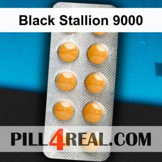Black Stallion 9000 881