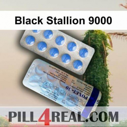 Black Stallion 9000 902