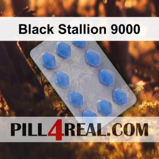 Black Stallion 9000 979
