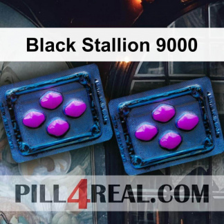 Black Stallion 9000 992