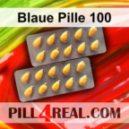 Blaue Pille 100 865