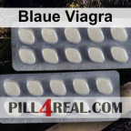 Blaue Viagra 077